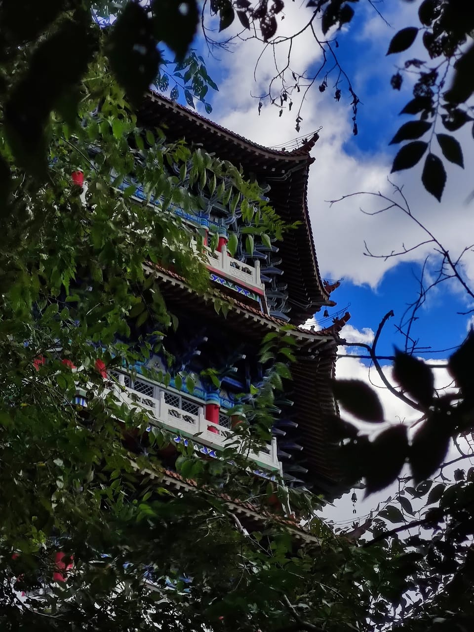 枝叶缝隙中露出的中式飞檐楼阁