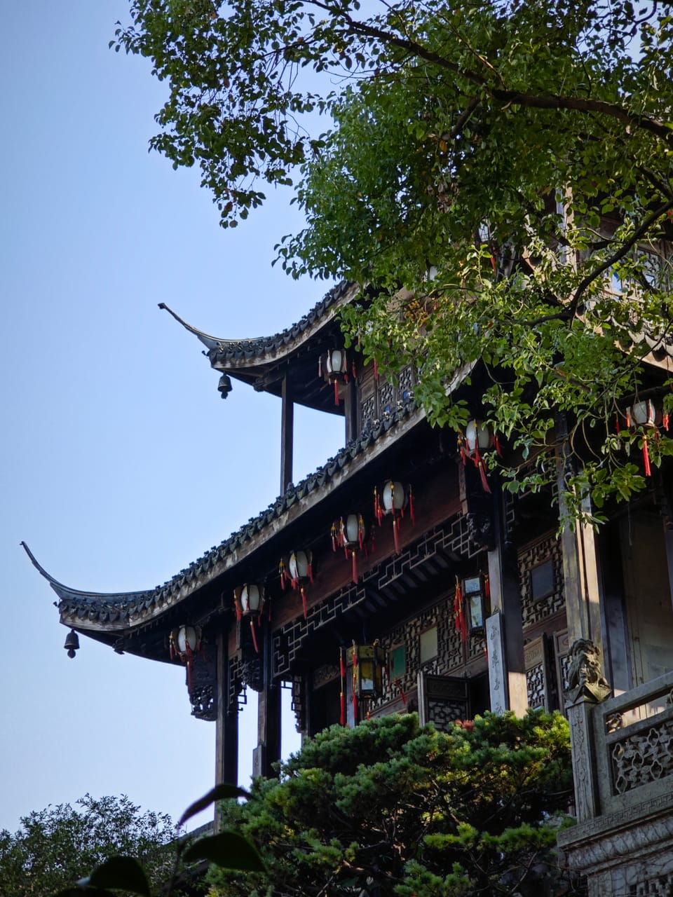 仰望江南古建的翘角飞檐与红灯笼