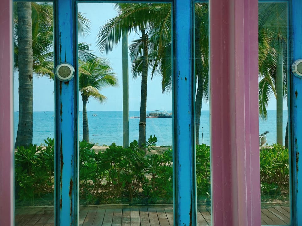 透过粉蓝色木门望向椰树与海景