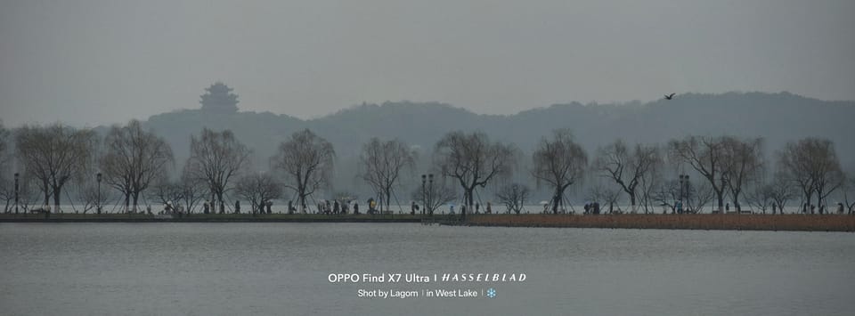 宽幅湖景，长堤上排列着柳树，远处雾中山峦有一座塔状建筑，一只鸟飞过